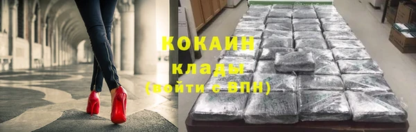 прущие грибы Армянск