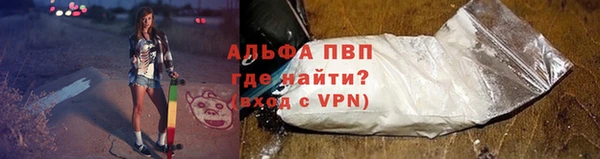 прущие грибы Армянск