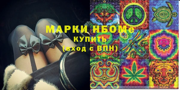 прущие грибы Армянск